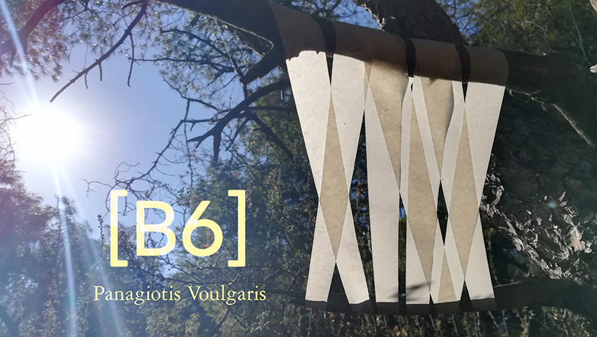 B6 - Art show Panagiotis Voulgaris B6 - Abstract installation foto tree and sunlight