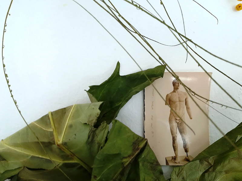 Green plants and Greek statue installation Green plants and Greek statue installation